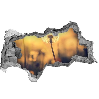 Samoprzylepna dziura na ścianę Kwiat dmuchawca w promieniach słońca