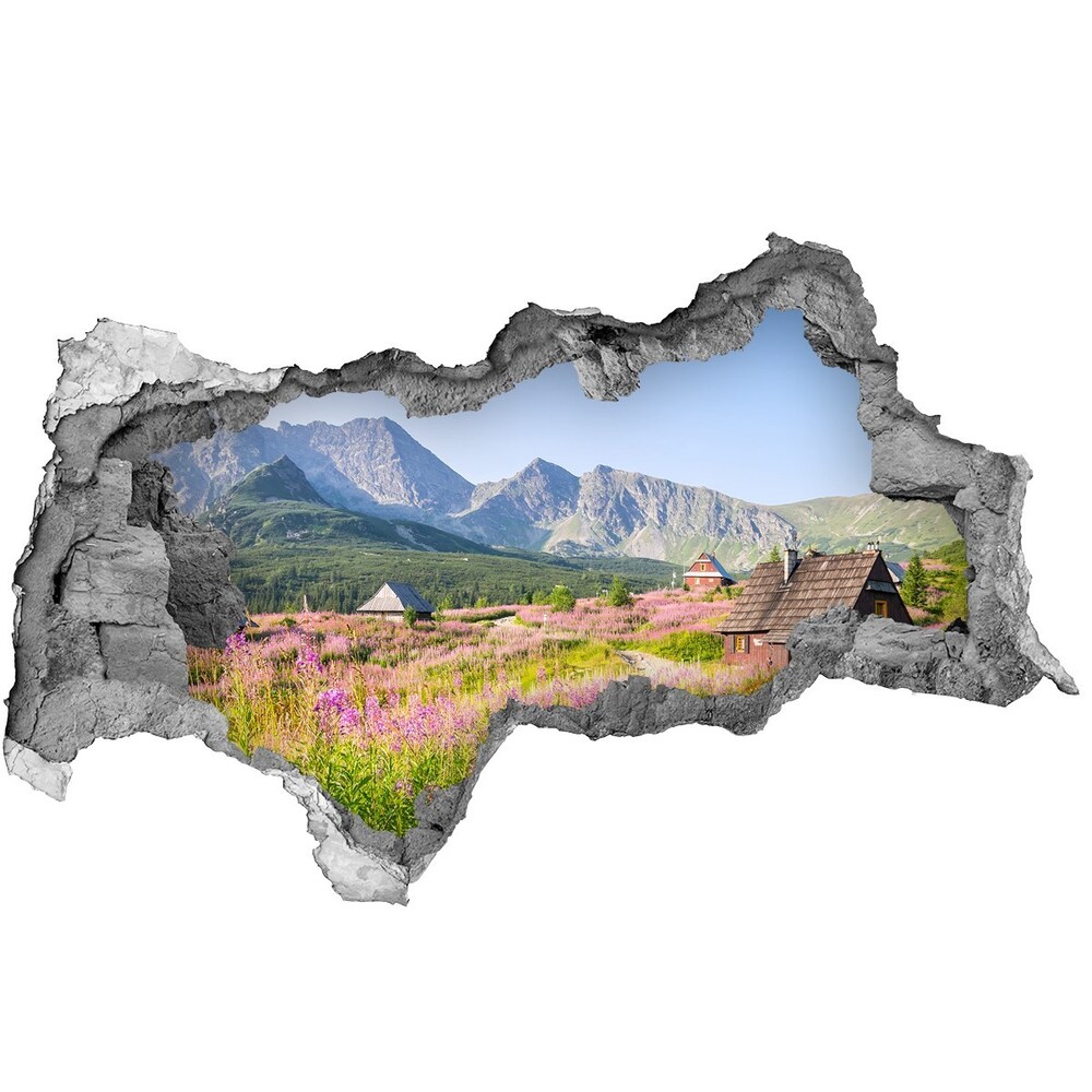 naklejka fototapeta 3D na ścianę Chatki w górach