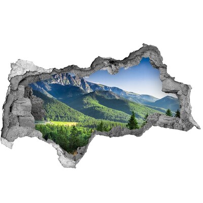 naklejka fototapeta na ścianę Skocznia w Tatrach