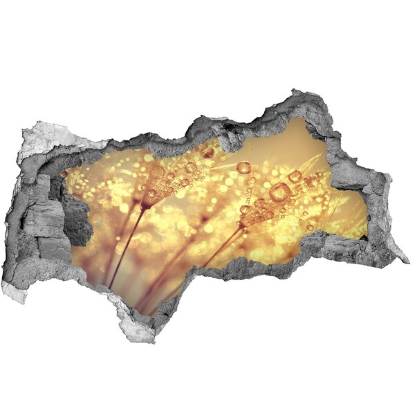 Naklejka 3D dziura na ścianę Złote łąki w świetle słonecznym