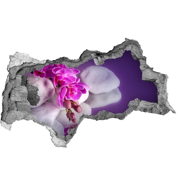 Fotoobraz dziura na ścianę Orchidee na tle kamieni
