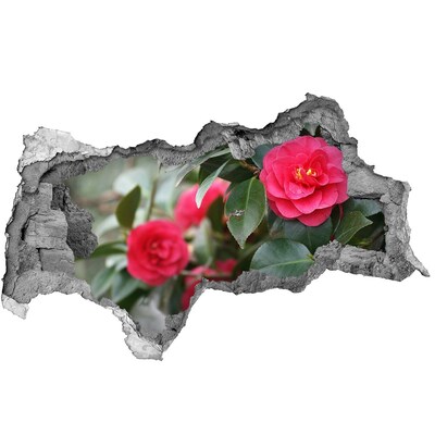 Samoprzylepna dziura na ścianę Kwiatowy ogród w betonie