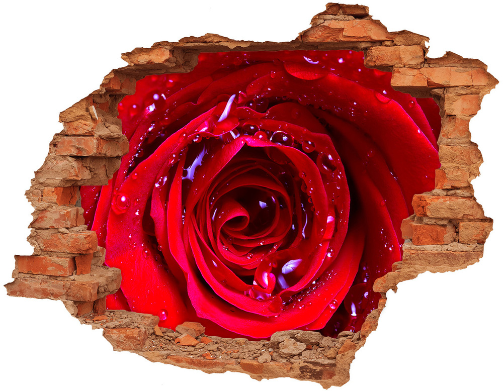Samoprzylepna naklejka na ścianę Kwiat róży