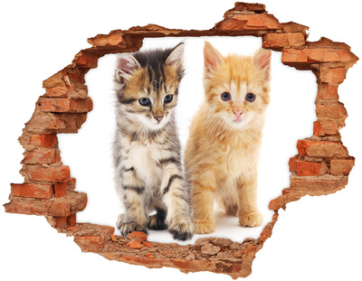Dziura 3d fototapeta na ścianę Brązowy i rudy kot
