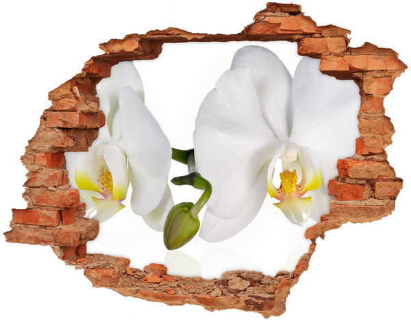 Samoprzylepna naklejka fototapeta Kwiaty orchidei w betonie