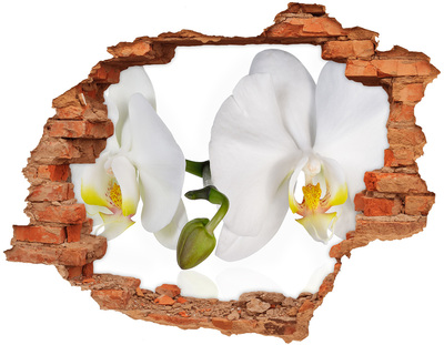 Samoprzylepna naklejka fototapeta Kwiaty orchidei w betonie