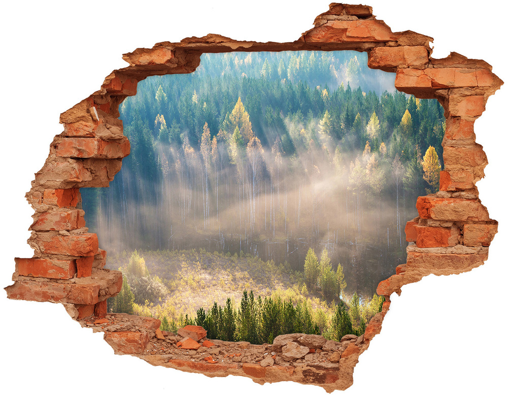 Fototapeta dziura na ścianę Mgła w lesie