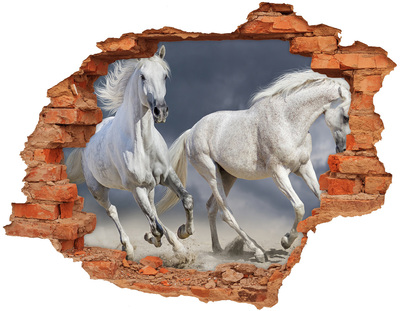 Dziura 3d fototapeta na ścianę Białe konie plaża