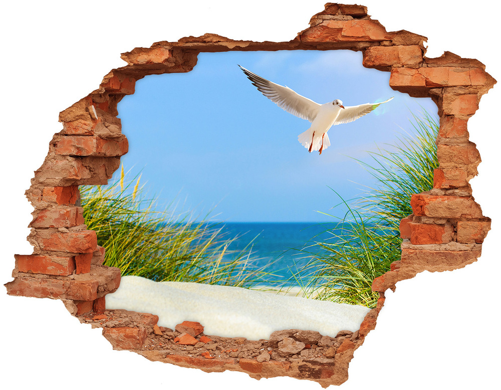 Dziura 3d w ścianie naklejka Mewa na plaży