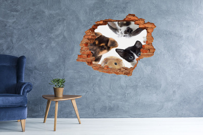 Dziura 3d fototapeta na ścianę Zwierzęta domowe