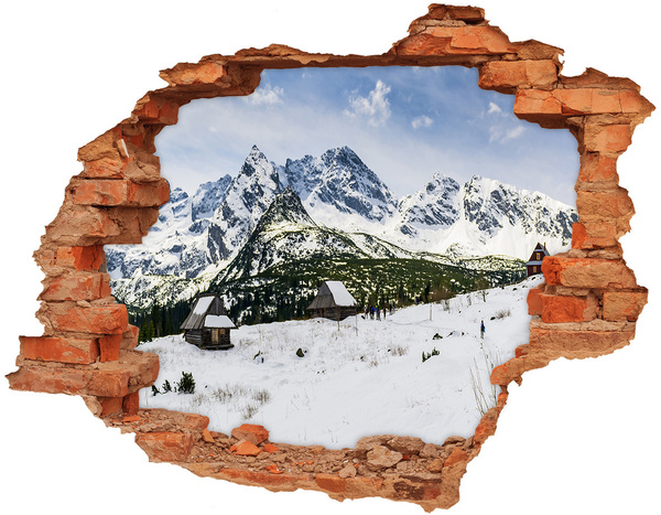 Dziura 3d w ścianie na ścianę Hale Tatry