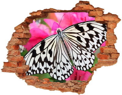 Dziura 3d fototapeta naklejka Motyl na kwiatku