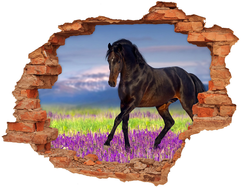 Fototapeta dziura na ścianę Koń na polu lawendy