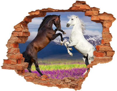Dziura 3d fototapeta na ścianę Walczące konie góry
