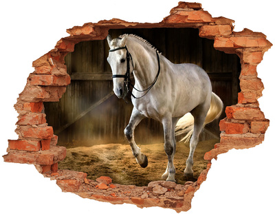 Dziura 3d fototapeta na ścianę Biały koń w stajni