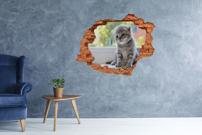Dziura 3d fototapeta na ścianę Mały kot przy oknie