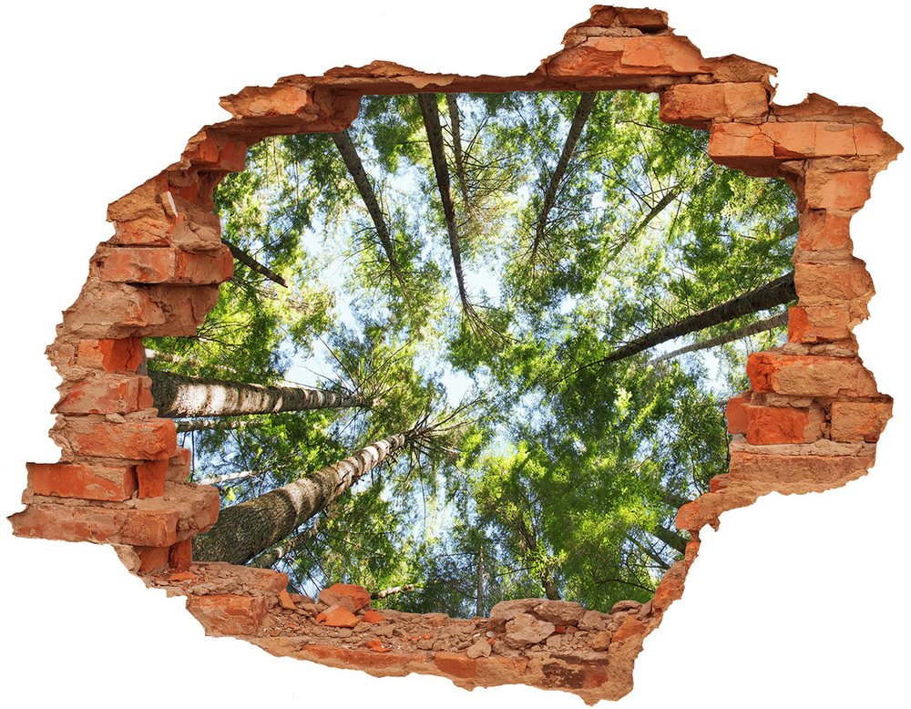 Dziura 3d w ścianie na ścianę Korona drzew