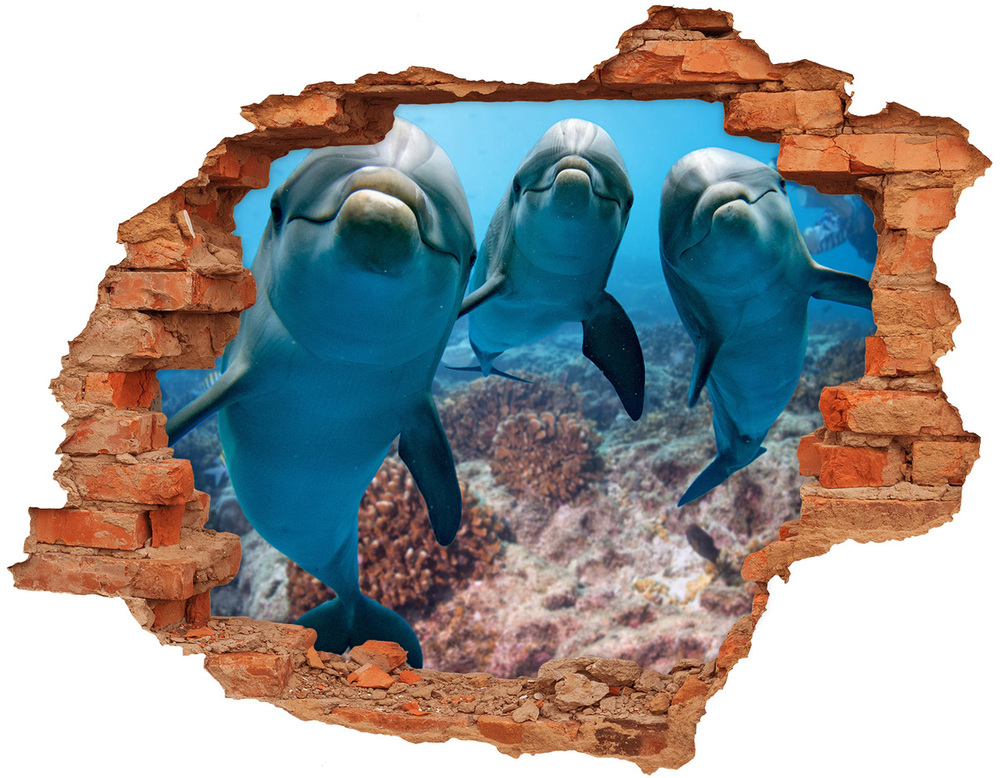 Fototapeta dziura na ścianę Delfiny