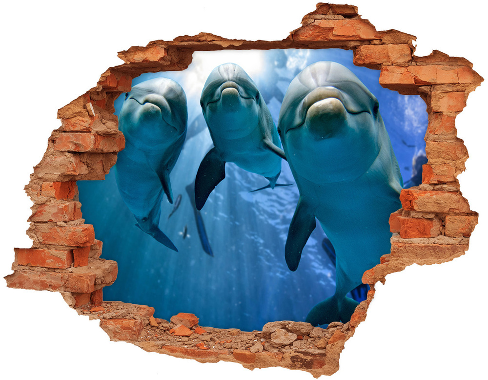 Dziura 3d fototapeta na ścianę Trzy delfiny