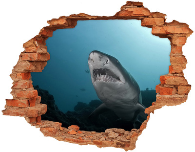 Dziura 3d fototapeta naklejka Duży rekin