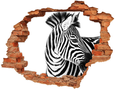 Dziura 3d fototapeta naklejka Zebra w dziurze w ścianie