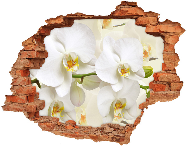 Samoprzylepna naklejka fototapeta Orchidea