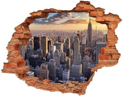 Fototapeta dziura na ścianę 3d Nowy Jork lot ptaka