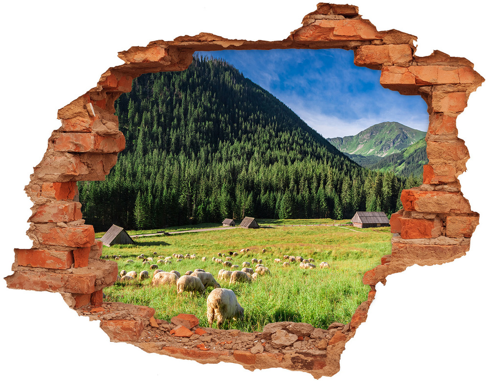 Dziura 3d w ścianie na ścianę Owce w Tatrach