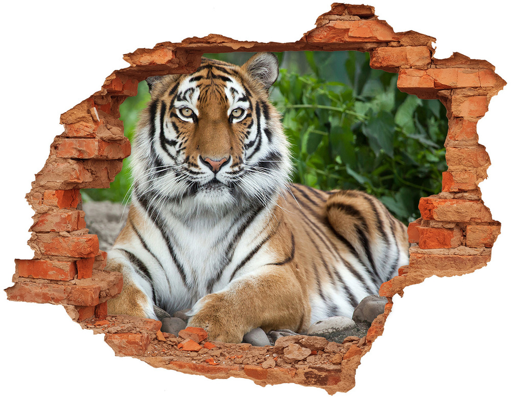 Dziura 3d fototapeta naklejka Tygrys syberyjski