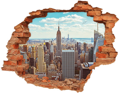 Fototapeta dziura na ścianę 3d Nowy Jork lot ptaka