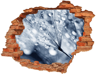 Samoprzylepna naklejka Krople rosy na dmuchawcu