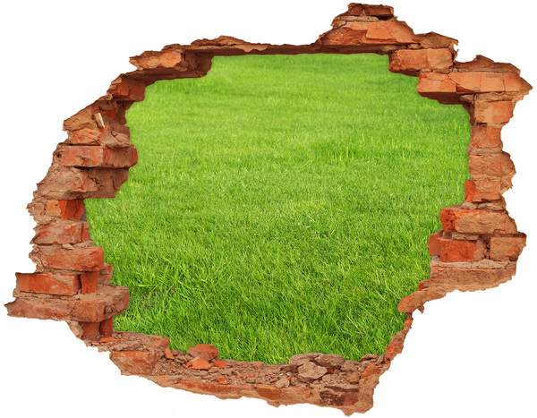 Dziura 3d w ścianie naklejka Zielona trawa