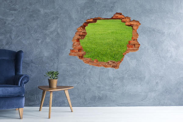 Dziura 3d w ścianie naklejka Zielona trawa