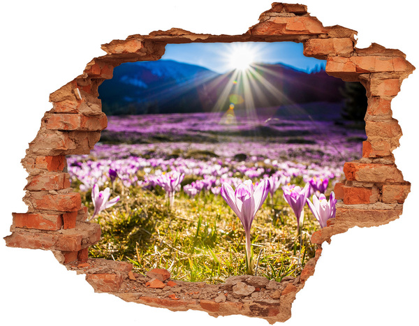 Dziura 3d w ścianie naklejka Krokusy na polanie