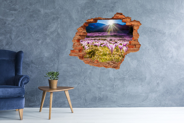 Dziura 3d w ścianie naklejka Krokusy na polanie