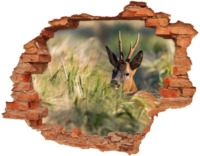Dziura 3d fototapeta na ścianę Jeleń w polu