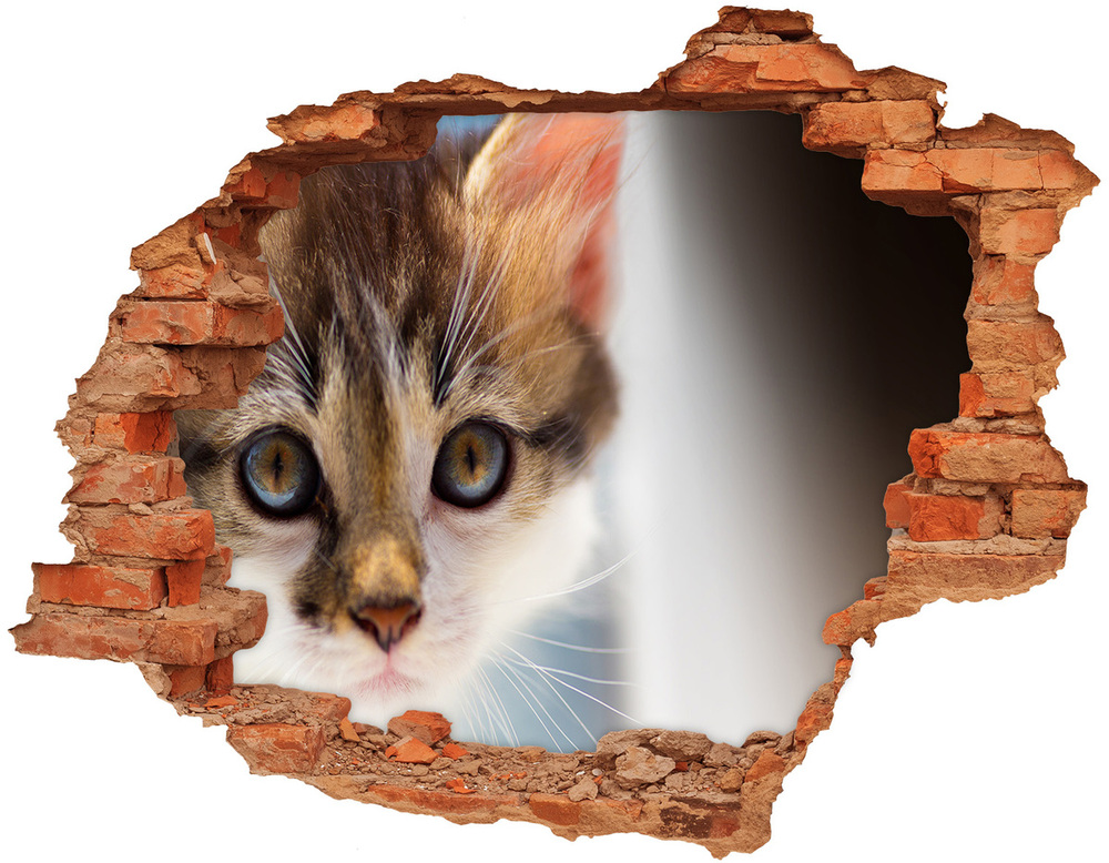 Dziura 3d fototapeta ścienna Naklejka Mały kot