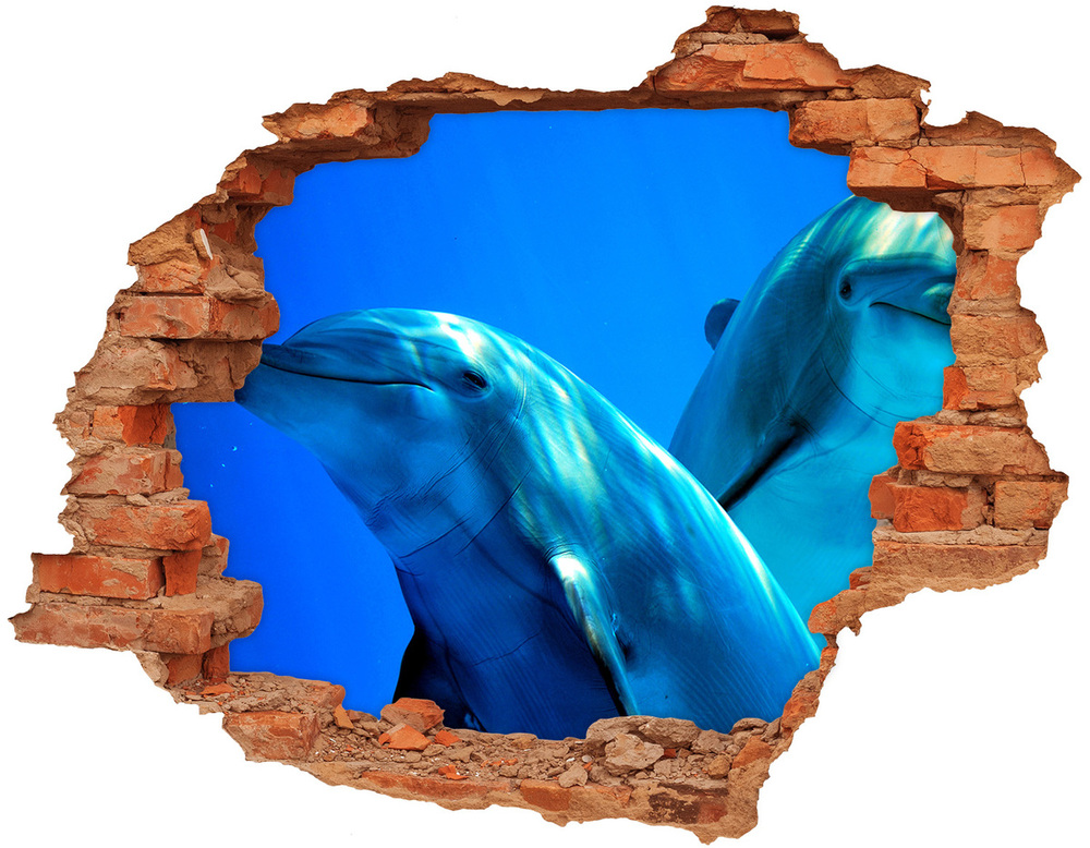 Dziura 3d fototapeta ścienna Dwa delfiny