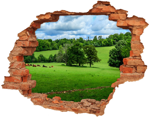 Dziura 3d w ścianie na ścianę Zielone wzgórza