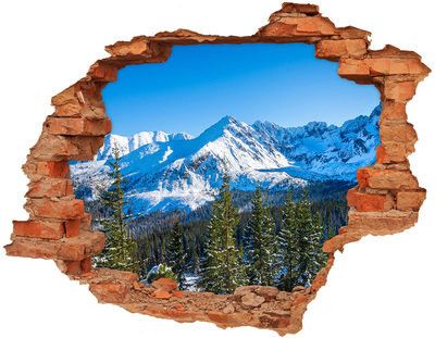 Dziura 3d w ścianie naklejka Panorama Tatr