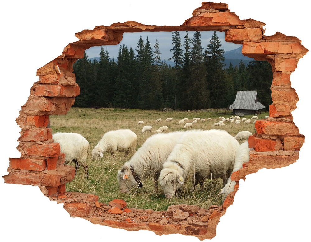 Dziura 3d fototapeta naklejka Pasące się owce