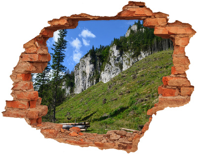 Dziura 3d w ścianie naklejka Skaliste szczyty