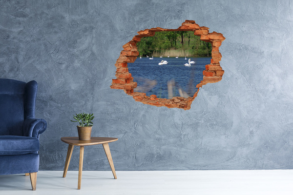 Dziura 3d fototapeta naklejka Białe łabędzie