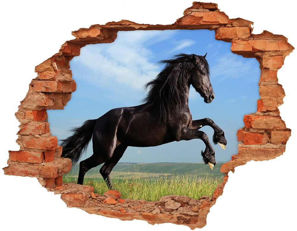 Dziura 3d fototapeta na ścianę Czarny koń na łące