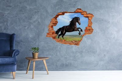 Dziura 3d fototapeta na ścianę Czarny koń na łące