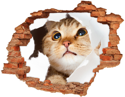 Dziura 3d fototapeta na ścianę Kot w dziurze