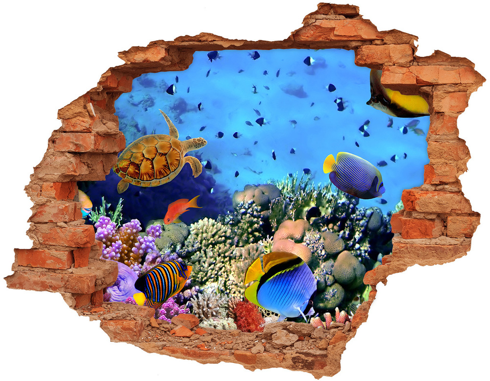 Dziura 3d fototapeta naklejka Rafa koralowa
