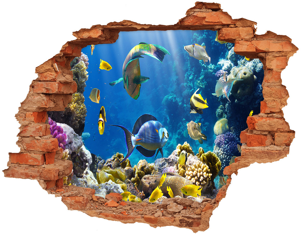 Fototapeta dziura na ścianę Rafa koralowa