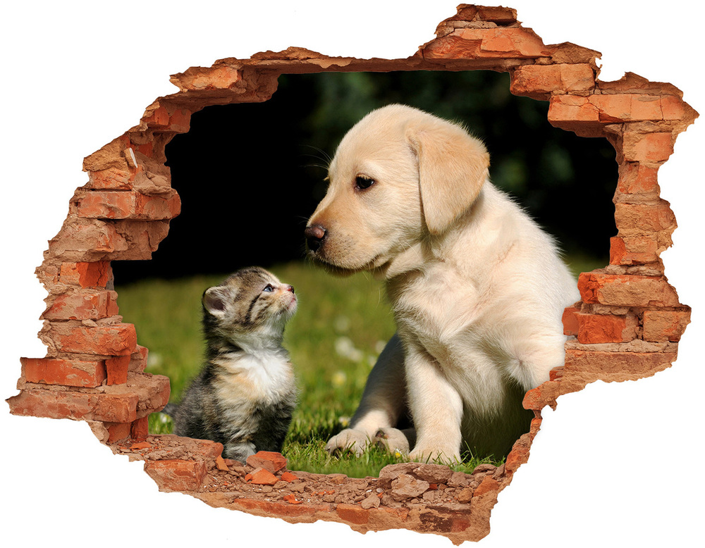Dziura 3d fototapeta naklejka Pies i kot na łące