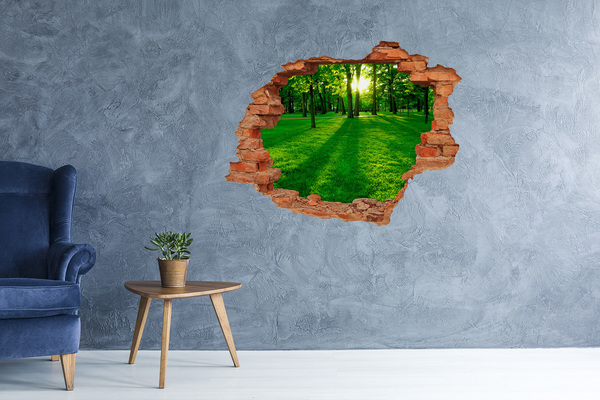 Dziura 3d w ścianie naklejka Trawa w parku